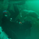 2_Playing-with-Seals_UK