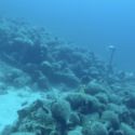 A_2500yrsOld_amphorae_abroad