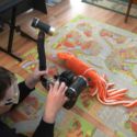 C_Octopus_FantasyLand